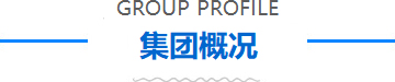 金年会·(中国)金字招牌信誉至上