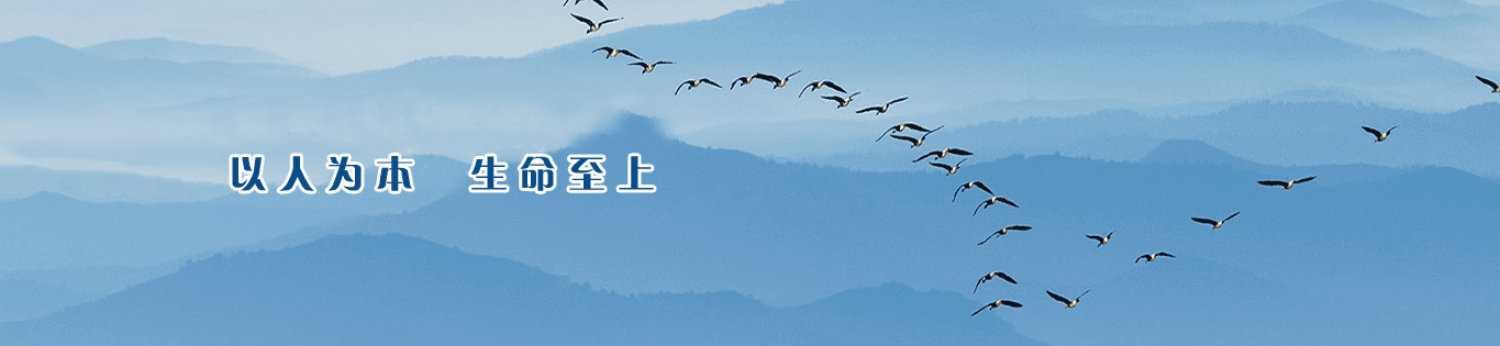 金年会·(中国)金字招牌信誉至上