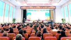 金年会·(中国)金字招牌信誉至上