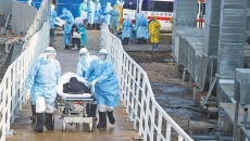 金年会·(中国)金字招牌信誉至上