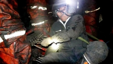 金年会·(中国)金字招牌信誉至上