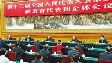 金年会·(中国)金字招牌信誉至上