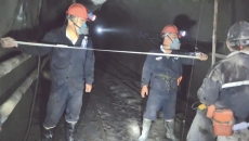 金年会·(中国)金字招牌信誉至上