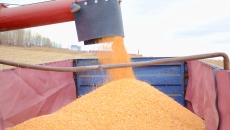 金年会·(中国)金字招牌信誉至上