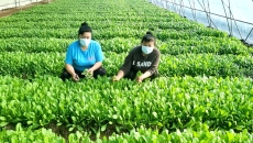 金年会·(中国)金字招牌信誉至上