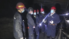 金年会·(中国)金字招牌信誉至上