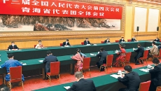 金年会·(中国)金字招牌信誉至上