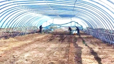 金年会·(中国)金字招牌信誉至上