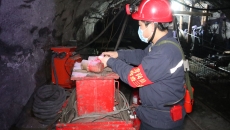 金年会·(中国)金字招牌信誉至上