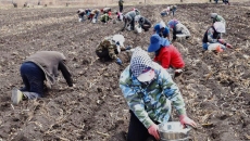 金年会·(中国)金字招牌信誉至上