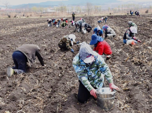 微信图片_20210513111411