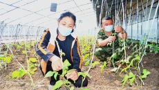 金年会·(中国)金字招牌信誉至上