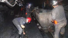 金年会·(中国)金字招牌信誉至上