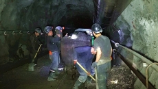 金年会·(中国)金字招牌信誉至上