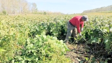 金年会·(中国)金字招牌信誉至上