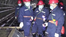 金年会·(中国)金字招牌信誉至上