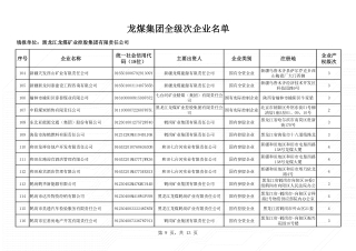 全级次企业名单 (9)
