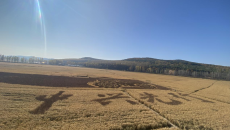 金年会·(中国)金字招牌信誉至上