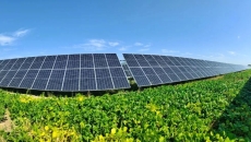 金年会·(中国)金字招牌信誉至上