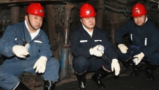 金年会·(中国)金字招牌信誉至上