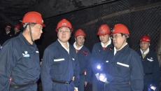 金年会·(中国)金字招牌信誉至上