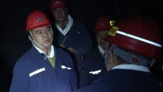 金年会·(中国)金字招牌信誉至上