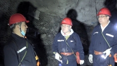 金年会·(中国)金字招牌信誉至上