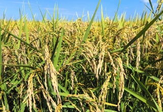 微信图片_2025-09-14_200437_462