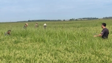 金年会·(中国)金字招牌信誉至上