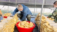 金年会·(中国)金字招牌信誉至上