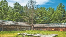 金年会·(中国)金字招牌信誉至上