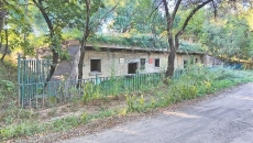 金年会·(中国)金字招牌信誉至上