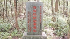 金年会·(中国)金字招牌信誉至上